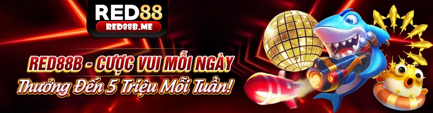 Hình ảnh sang trọng của Câu lạc bộ VIP ku trò chơi casino
